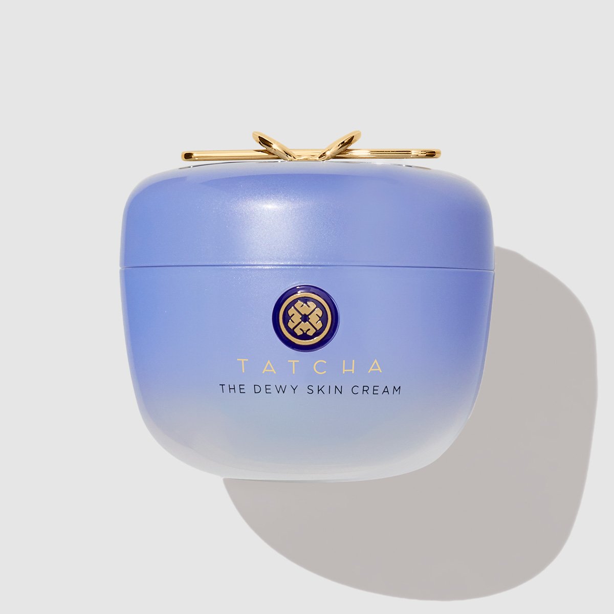 The Dewy Skin Cream - Polished Daily Care
