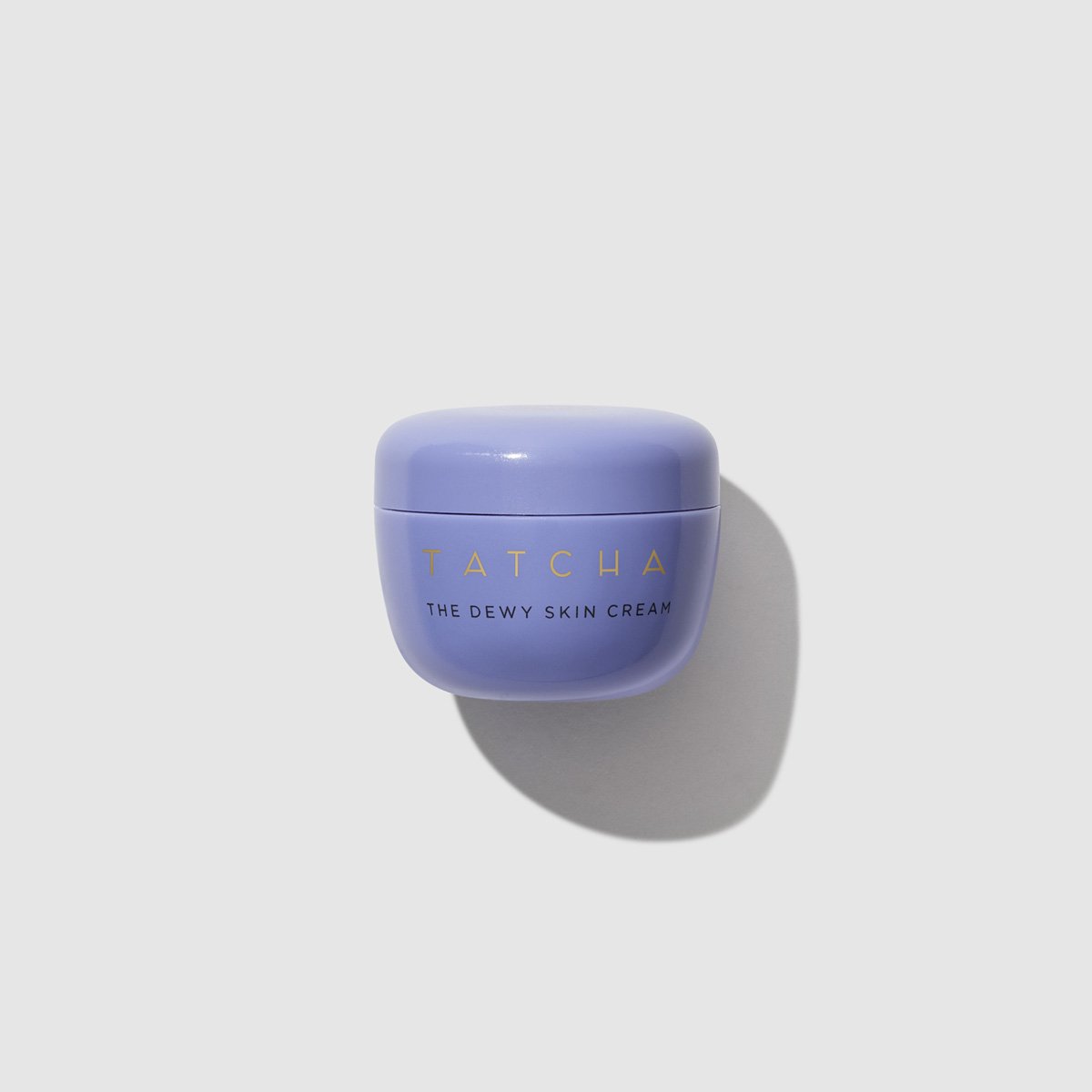 The Dewy Skin Cream - Polished Daily Care