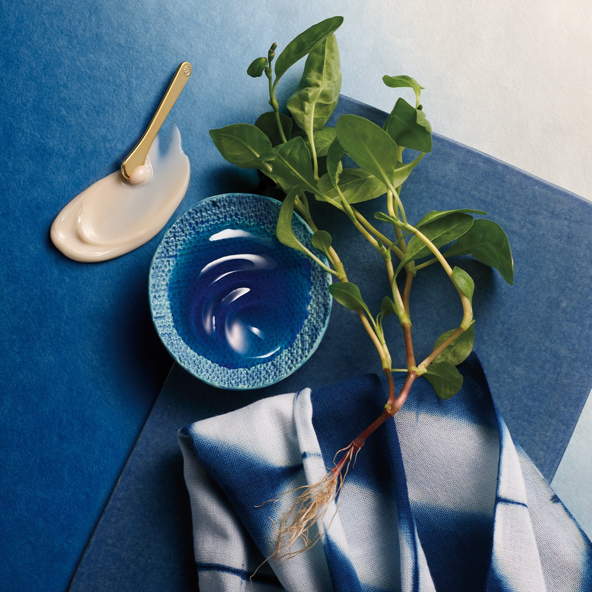 Indigo Overnight Repair - Smart Routine Choice